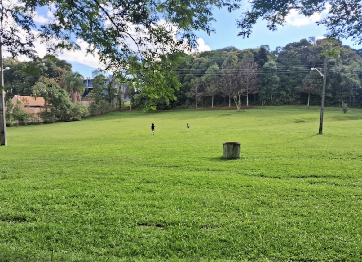 Amplo campo verde da chácara